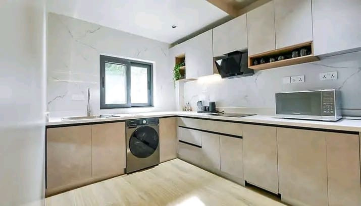 fully-furnished-apartment-for-rent-big-7