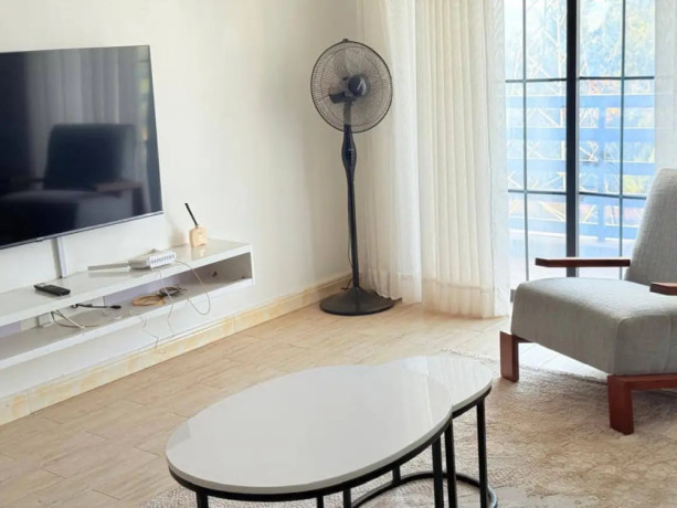 kibagabaga-nice-furnished-apartment-for-rent-in-kigali-big-3