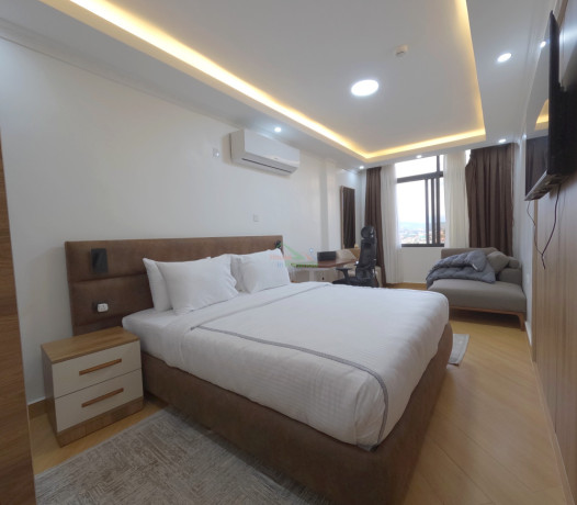 kigali-superior-2-bedroom-apartment-for-rent-in-remera-big-3