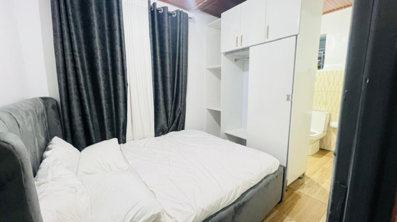 kimironko-near-olympic-hotel-furnished-house-for-rent-in-kigali-big-1