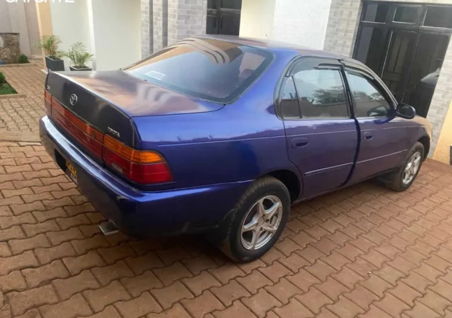 toyota-corolla-big-2