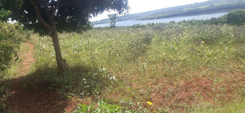land-for-sale-in-bugesera-ngeruka-access-on-lake-of-rwanda-hot-deal-big-1