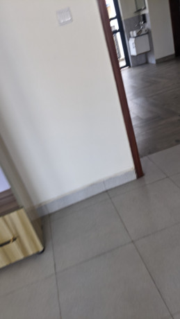 bs-10-kagugu-luxury-furnished-apartment-for-rent-big-5