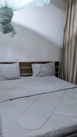 bb-003-kibagabaga-furnished-apartment-for-rent-big-8