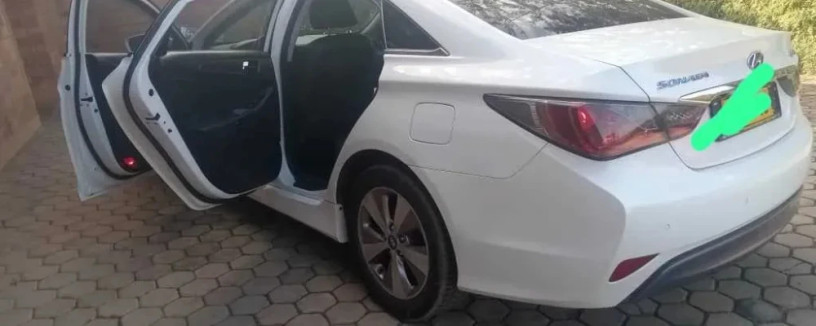hyundai-sonata-big-1