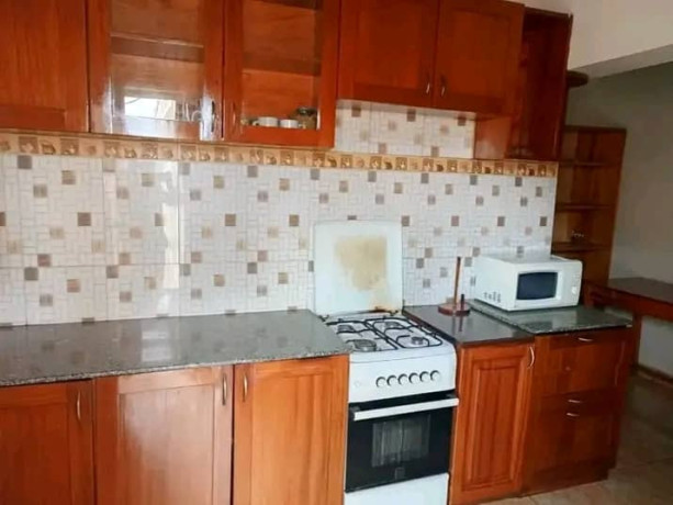 call-kibagabaga-full-furnished-house-for-renr-big-5