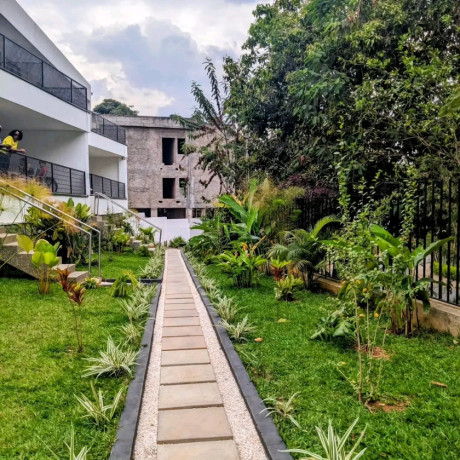kiyovu-nice-full-furnished-house-for-rent-big-1