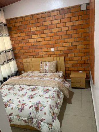 fully-furnished-apartment-for-rent-in-kigali-remera-big-4