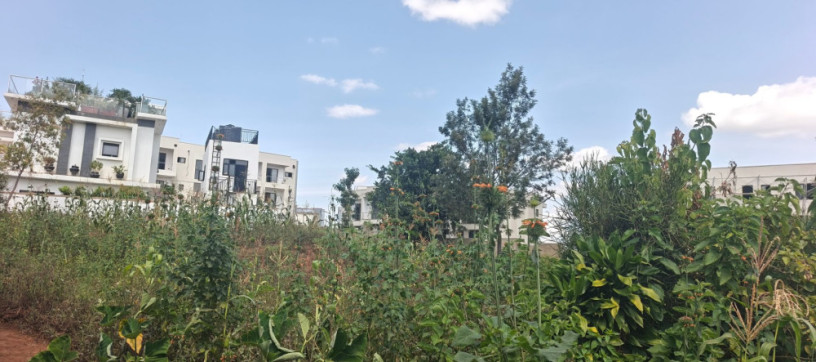 rusororo-plot-for-sale-150m-big-4