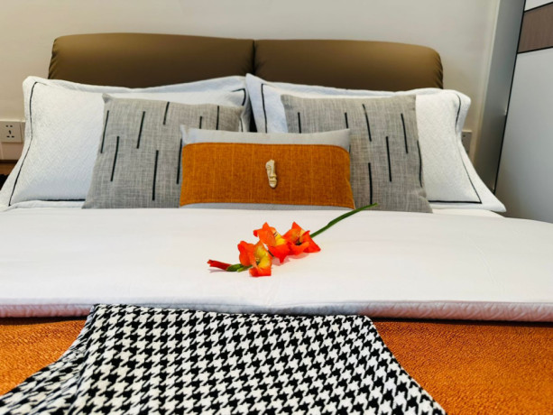 kiyovu-very-nice-luxurious-apartment-for-rent-in-kigali-big-7