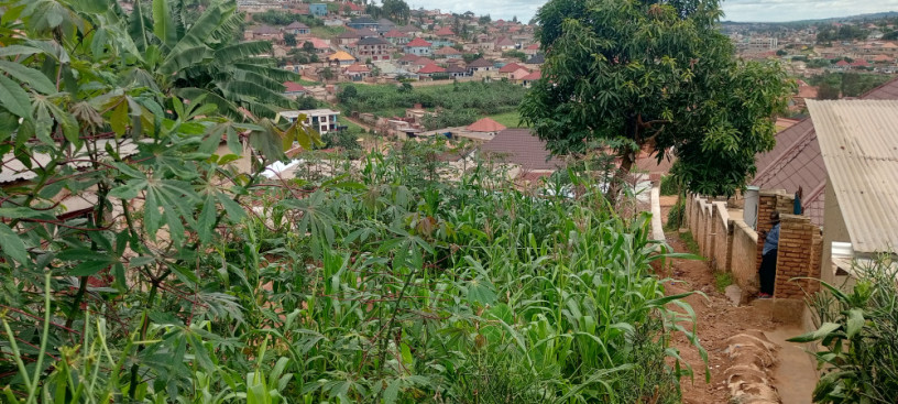 ikibanza-kigurishwa-kimironko-zindiro-big-4