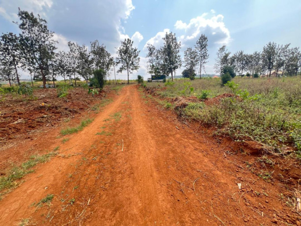 bugesera-residential-plot-for-sale-in-kanzenze-big-6