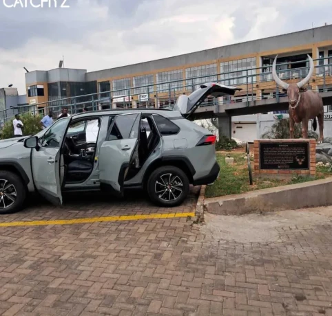 toyota-rav-4-hybrid-for-sale-0788615850-big-2