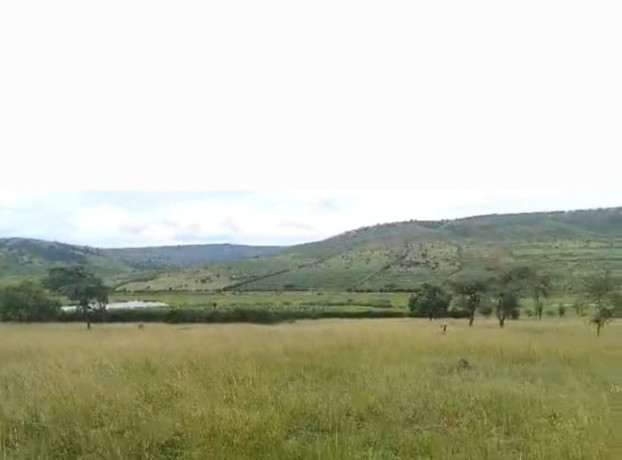 land-agricultural-for-sale-at-kayonza-big-0