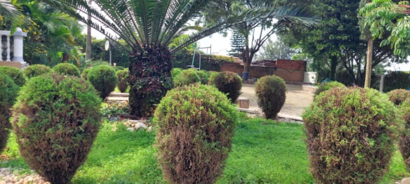 kigali-furnished-villa-available-for-rent-in-nyarutarama-big-1