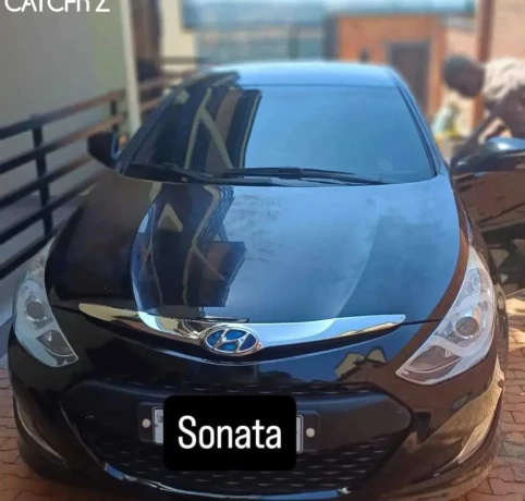 hyundai-sonata-big-1