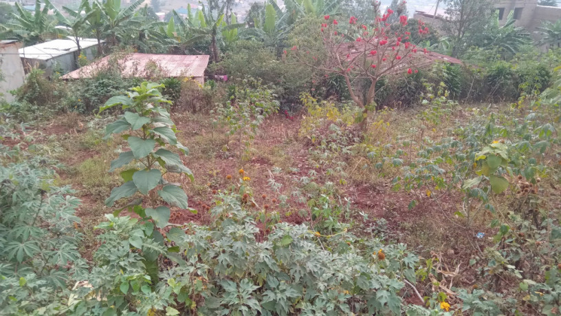 kigali-land-for-sale-in-rebero-facing-nyamirambo-side-big-9