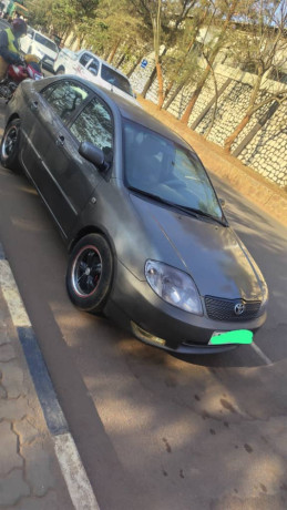 toyota-corolla-big-2