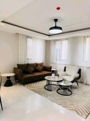 fully-furnished-apartments-for-rent-in-kigali-gishushu-in-vip-neighborhood-good-location-big-6