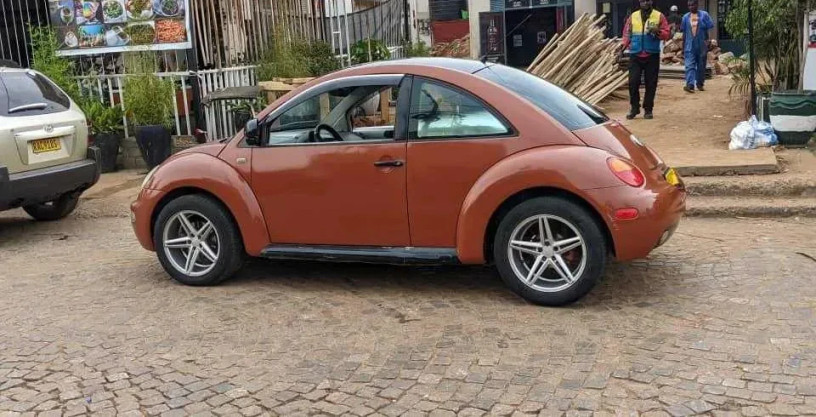volkswagen-big-2