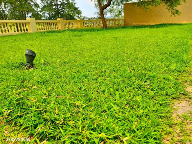 kigali-villa-available-for-rent-in-nyarutarama-big-1