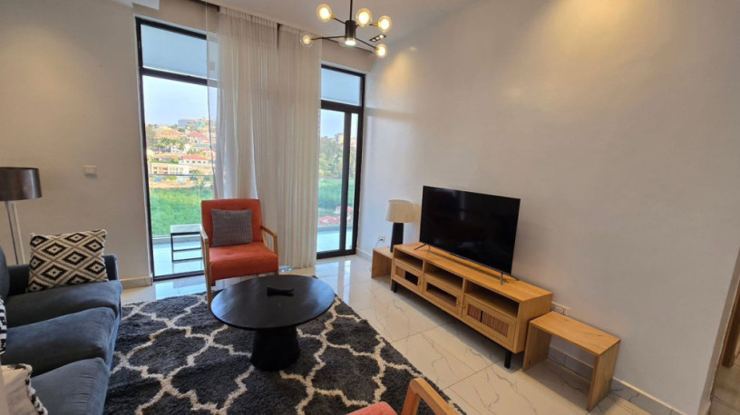 gishushu-apartment-rent-with-swimming-pool-fully-furnished-2bedroom-2bathroom-1200usd-big-3