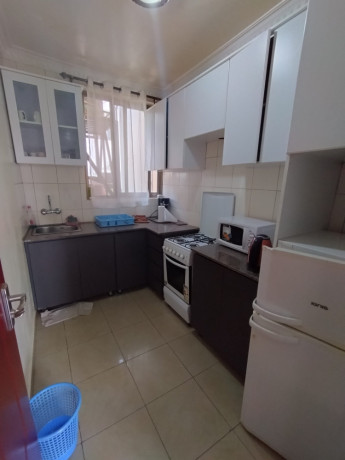 this-is-beautifully-fully-furnished-apartments-for-rent-in-nyarutarama-big-5