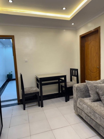 gishushu-near-rdb-1-bedroom-furnished-apartment-for-rent-in-kigali-big-0