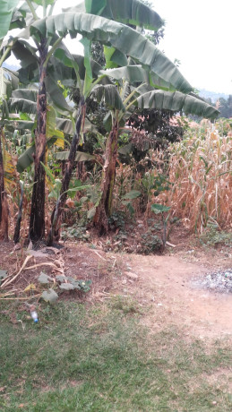 largest-land-for-sale-with-a-house-big-12