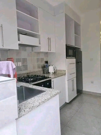 this-is-beautiful-fully-furnished-apartments-for-rent-in-nyarutarama-big-6