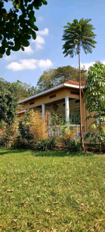 kigali-unfurnished-house-available-for-rent-in-kiyovu-big-0