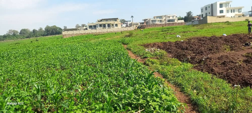 kinyinya-plot-for-sale-big-4
