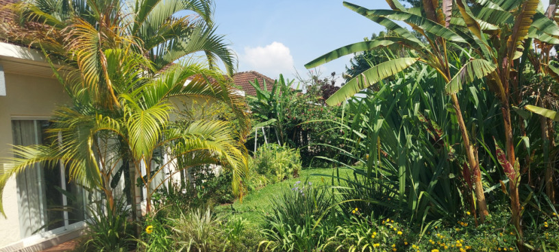 spacious-house-available-for-rent-at-nyarutarama-big-2