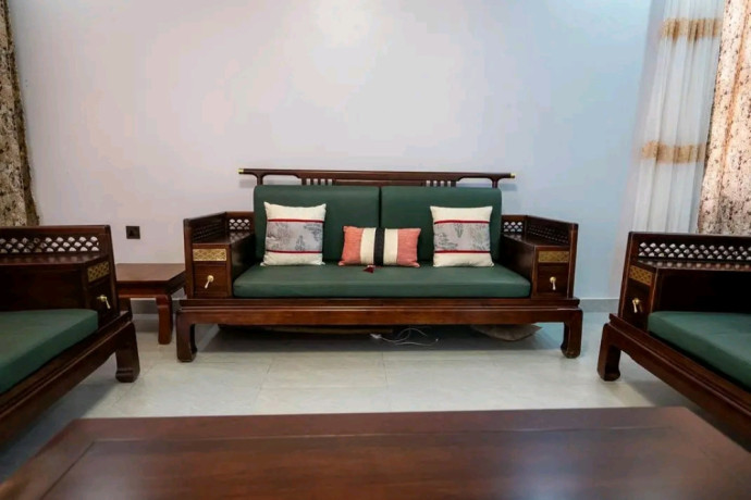 this-is-beautifully-fully-furnished-house-for-rent-in-rebero-big-3