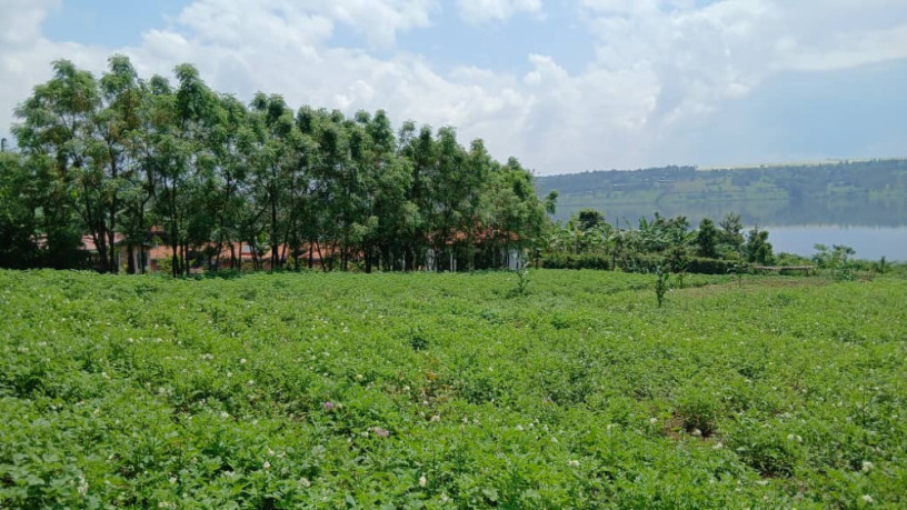 gatsibo-muhazi-plot-for-sale-big-3