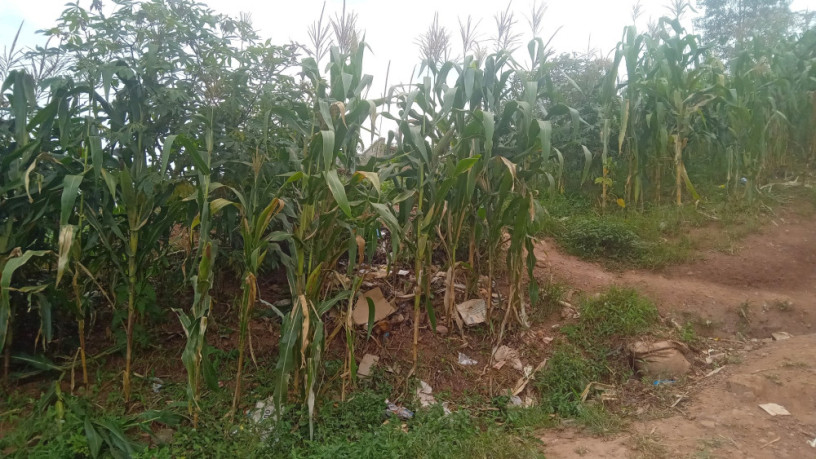 kigali-land-for-sale-in-gisozi-big-5