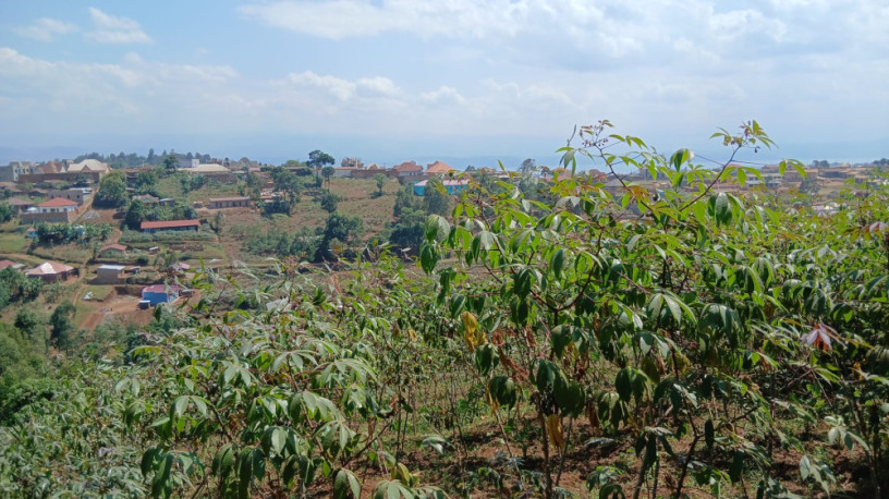 kamembe-rusizi-city-plot-for-sale-big-3