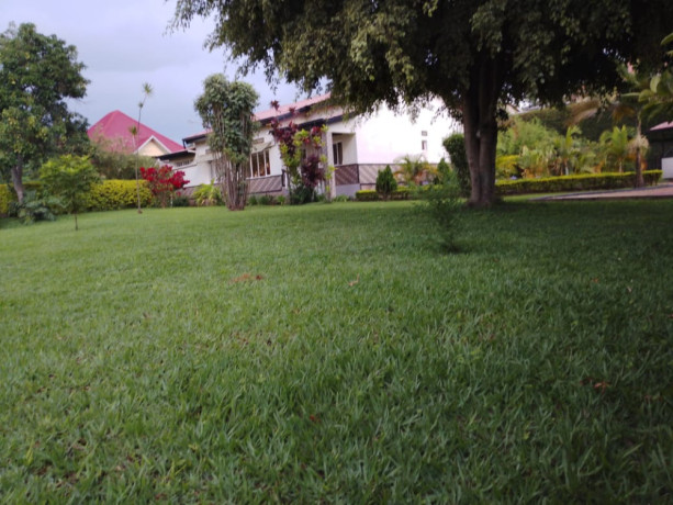 house-for-rent-in-kibagabaga-big-2