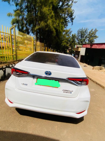 corolla-big-0