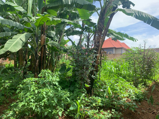 ep-098-masaka-masaka-very-biggest-and-cheapest-plot-for-sale-with-2-upi-big-6