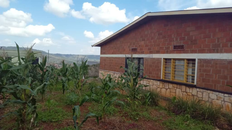 kigali-house-for-sale-in-nyamirambo-big-0