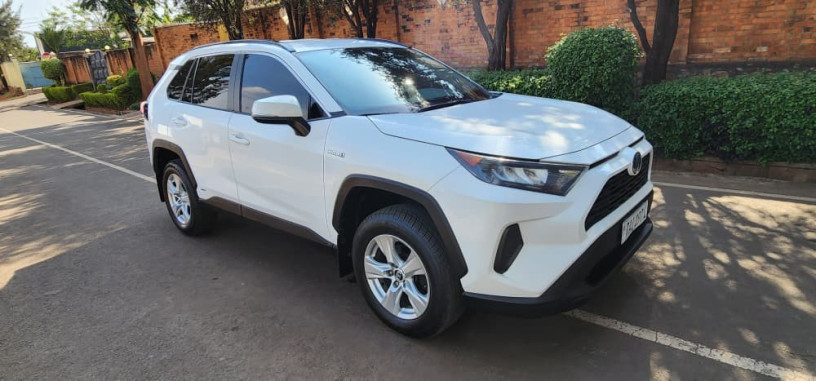toyota-rav4-big-2