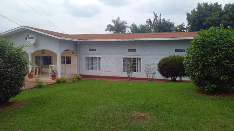 kigali-house-for-sale-in-rebero-big-7