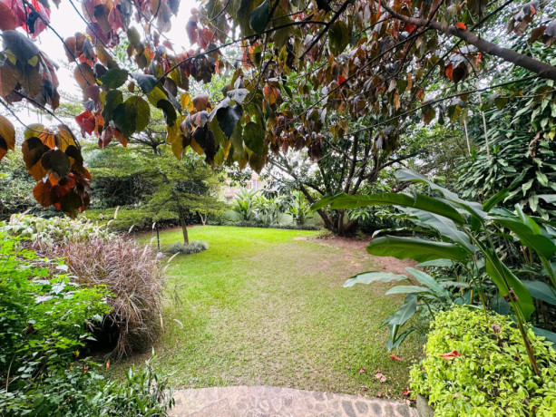 nyarutarama-villa-for-rent-in-good-neighborhood-big-9