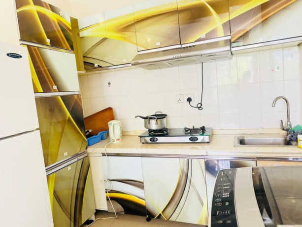 fully-furnished-apartment-for-rent-in-kimihurura-gishushu-near-rsb-on-tarmac-road-big-4