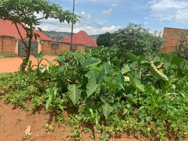 ep-098-masaka-masaka-very-biggest-and-cheapest-plot-for-sale-with-2-upi-big-3