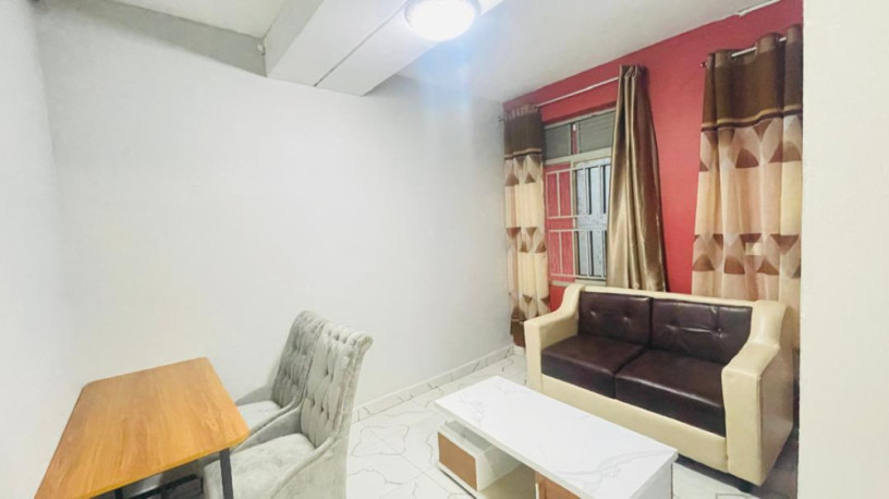 bk-16-nyarutarama-very-beautiful-and-amazing-full-furnished-apartment-available-for-rent-big-5
